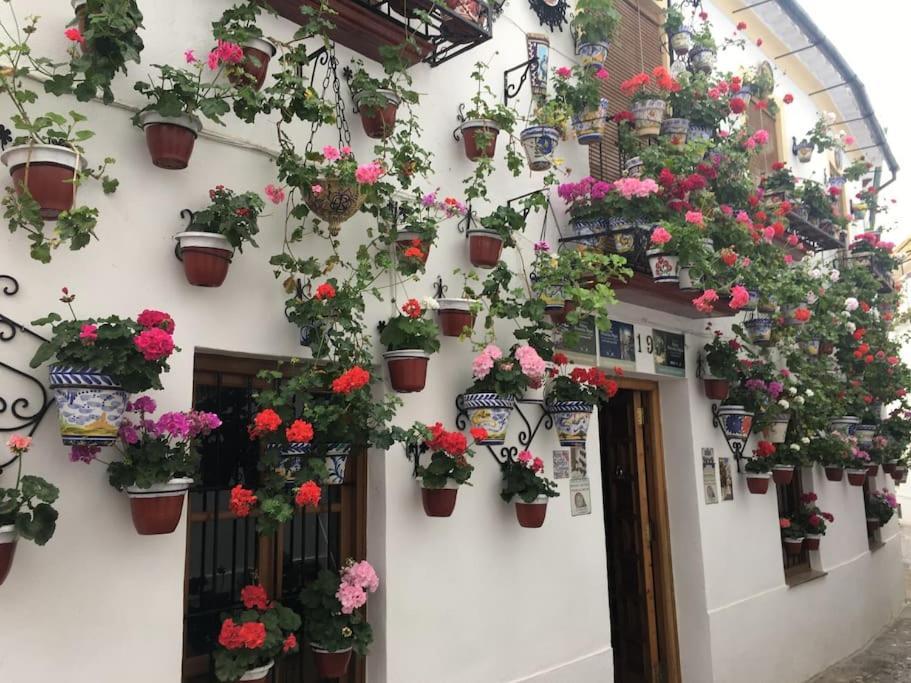 Apartamento El Templo Cordova Esterno foto